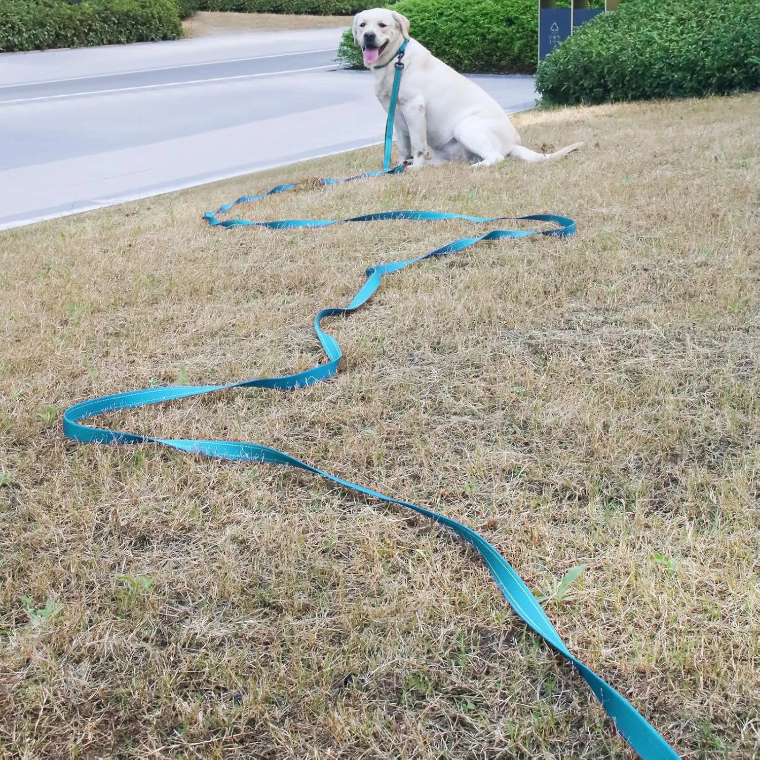 15FT Long Dog Leash with 2 Comfortable Soft Padded Handles Blue Reflective Heavy Duty Pet Dog Training and Walking Leashes Durable Dog Training Lead & Traffic Handle for Large Medium and Small Dogs