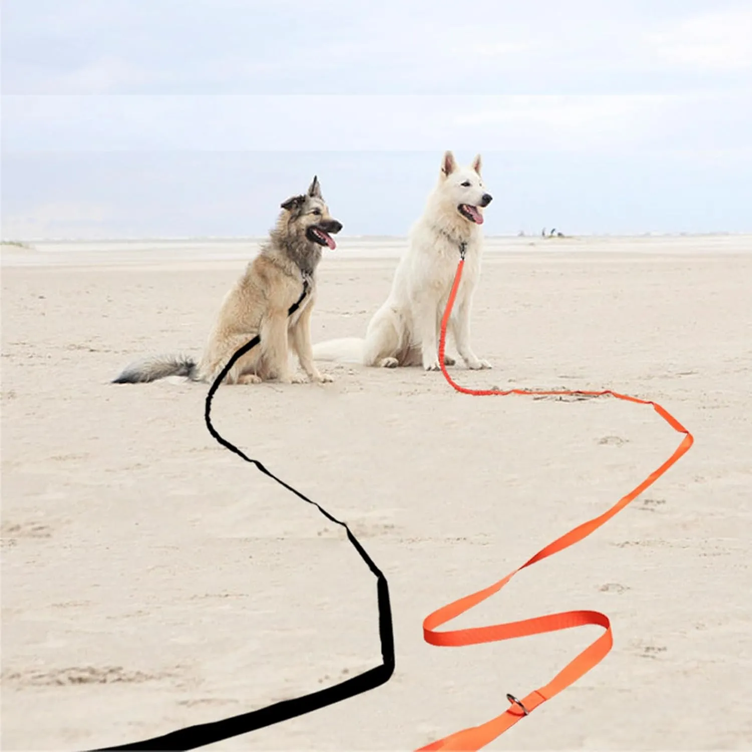 2 Handles Long Dog Leash, 12/20/30/50ft Long Bungee Dog Leashes with Traffic Handle, Shock-Absorbing Elastic Buffer, Double Handles Training Lead (orange-12ft)