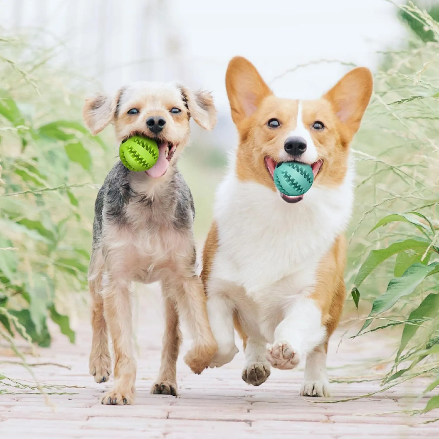 2" Treat Ball Slow Feeder IQ Training Dog Puzzle for Small Mini Dogs, Durable Natural Rubber Chew Toys for Teething, Interactive Dog Toys for Boredom and Stimulation