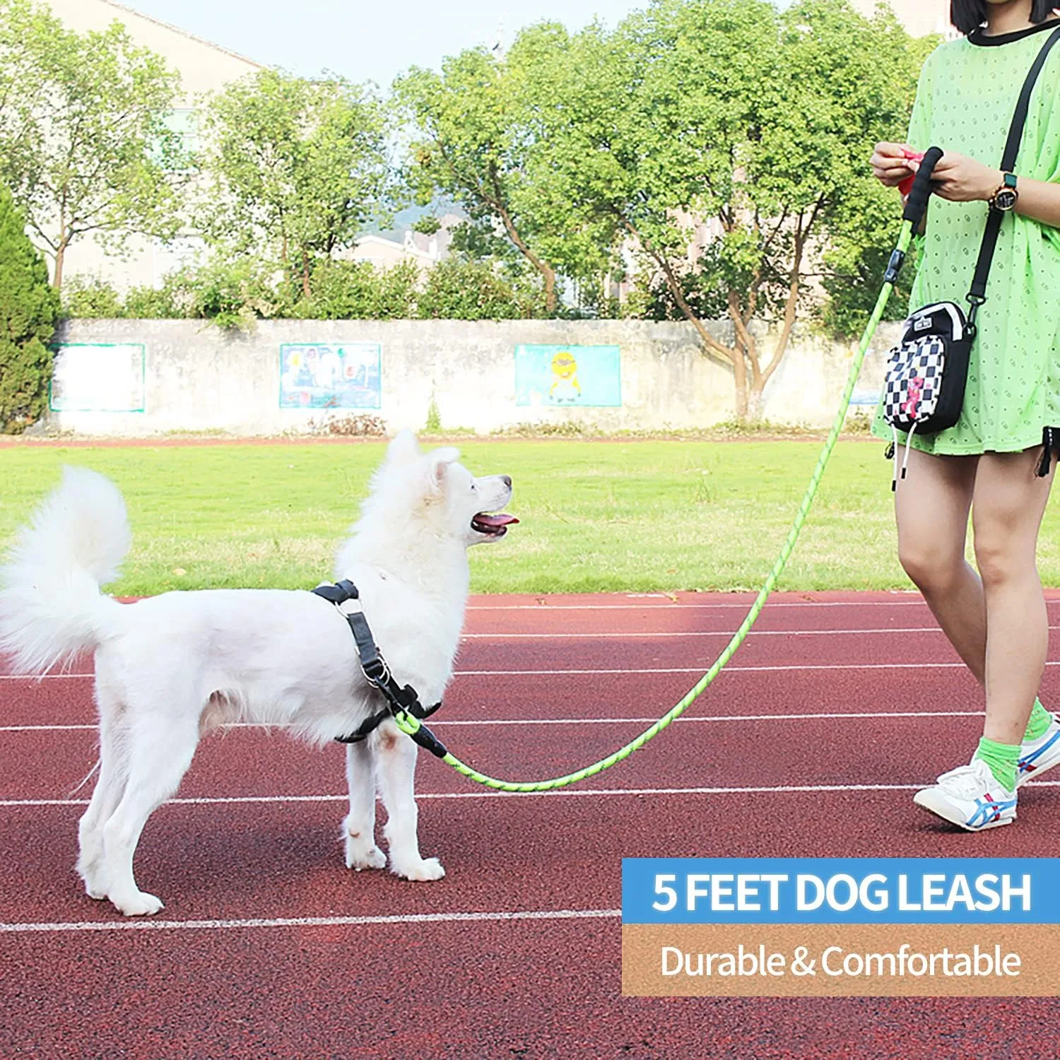 BAAPET 2/4/5/6 FT Dog Leash with Comfortable Padded Handle and Highly Reflective Threads for Small Medium and Large Dogs (5FT-1/2'', Green)