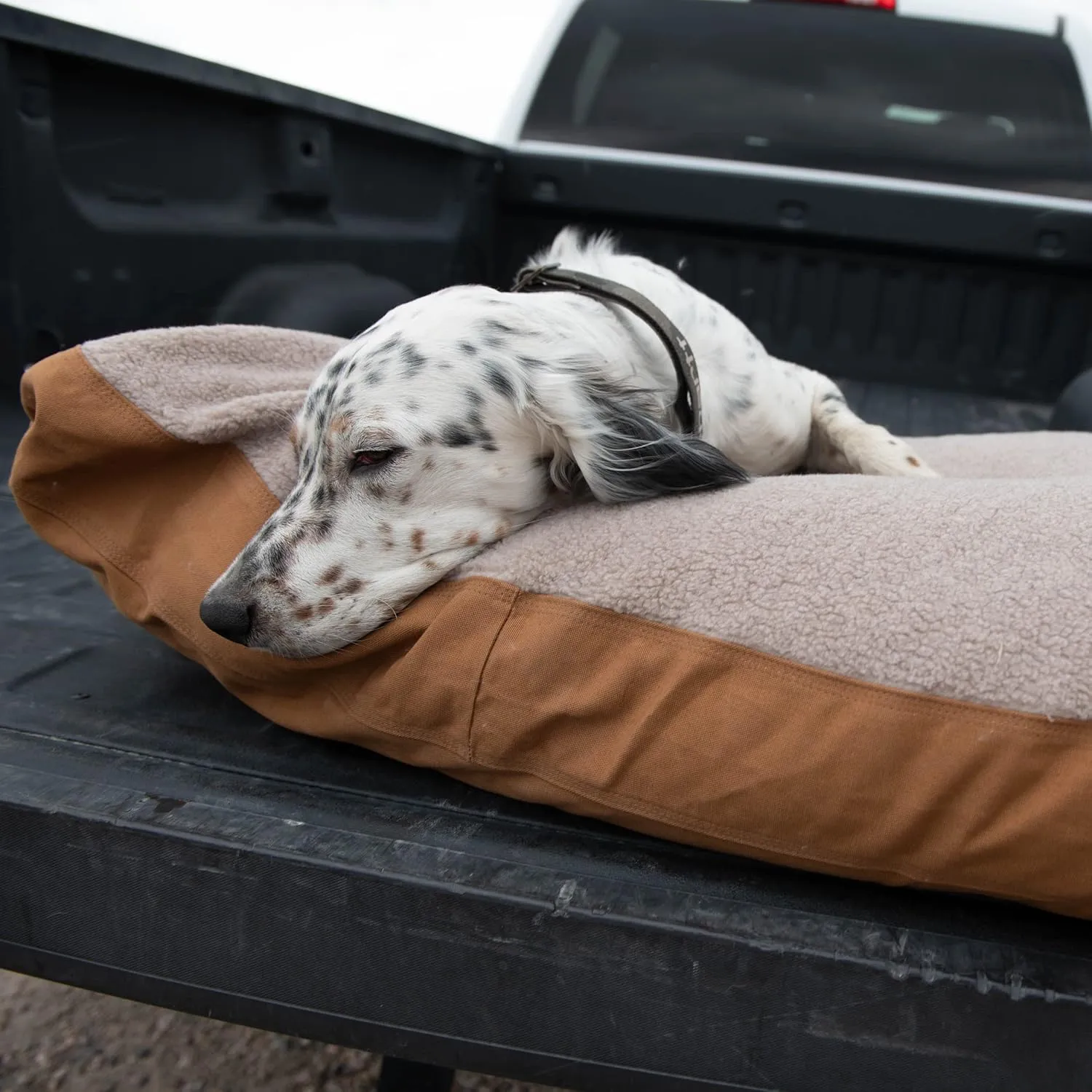 Carhartt Durable Canvas Pet Bed, Water Resistant Firm Duck Dog Bed, Deep Wine (Sherpa Top), Large