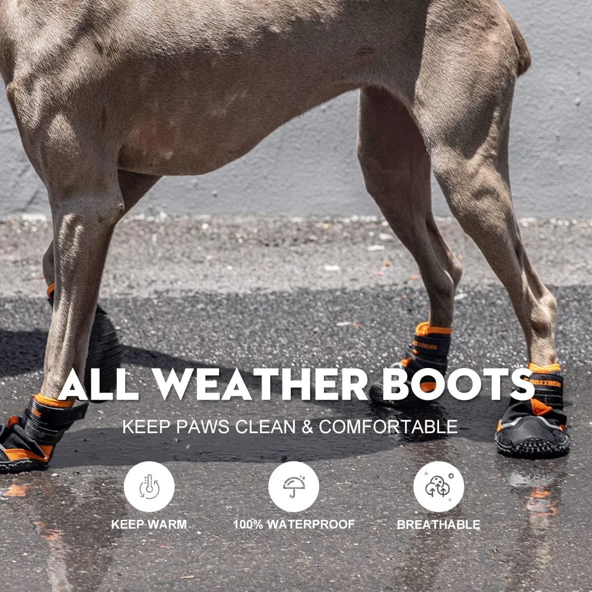 Dog Boots for Large Dogs,Waterproof Dog Booties for Winter Snow,Anti-Slip Dog Shoes Paw Protector with Reflective Strap for Hot Pavement,Hardwood Floor,Outdoor Hiking (Black, 2.75")