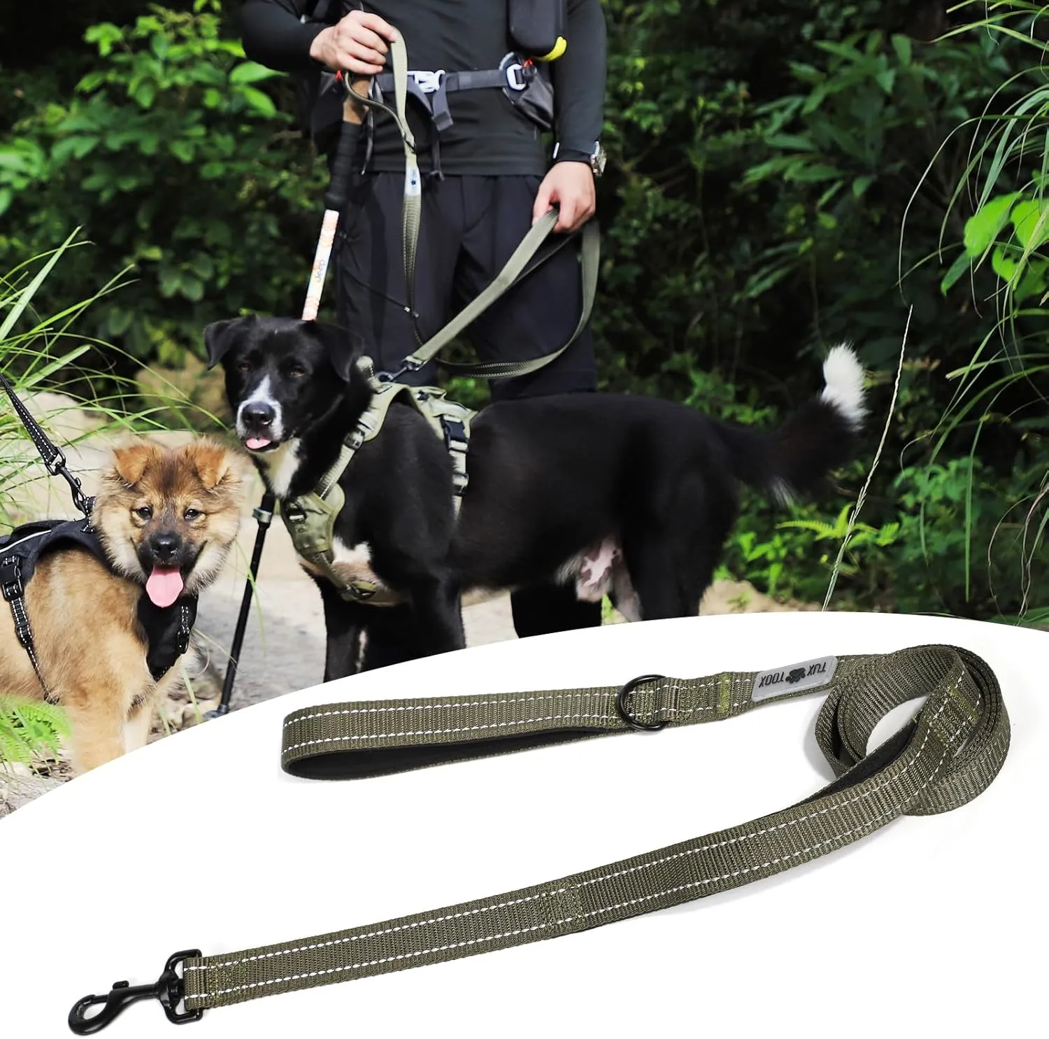 Dog Leash- 6 FT Leashes for Small to Large Dogs, Double Handle Dog Leash, Reflective Walking Training Lead (Dog Leash (Green), 6 FT Dog Leash)