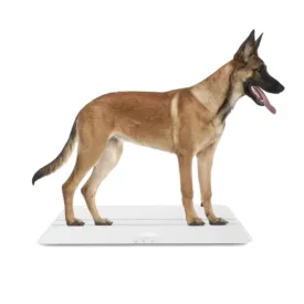 Dog Scale for Large Dogs Digital pet Scale 220Lbsx0.2Lbs,27x13inches.