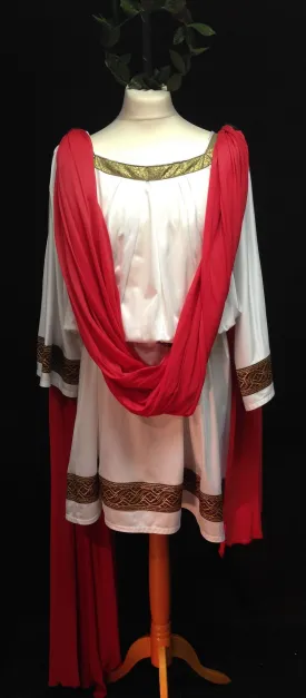 Greek/Roman Toga (HIRE ONLY)