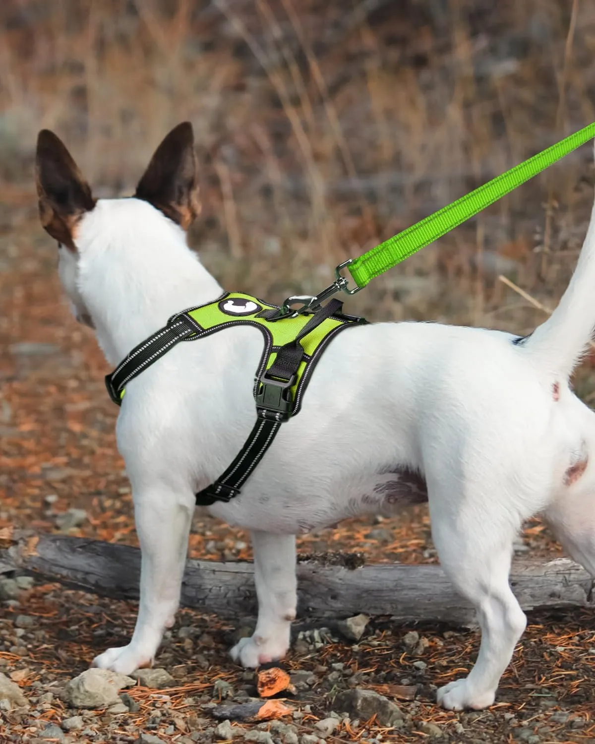 Joytale Double-Sided Reflective Dog Leash, 6 FT/5 FT/4 FT, Padded Handle Nylon Heavy Duty Leashes for Medium & Large Dogs Walking, Green, 6FT