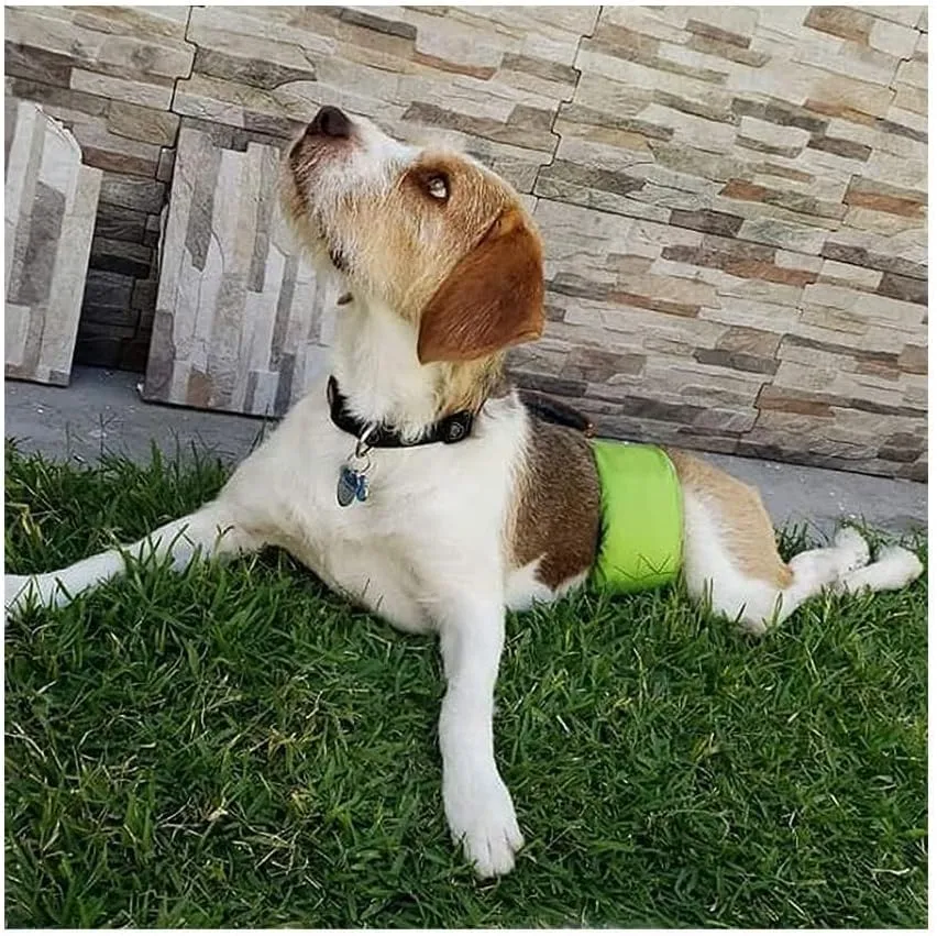 Male Dog Wraps Washable & Reusable Belly Band Diapers Materials Durable Machine Washable Doggie Pee Puppy Pads Diaper Trainer Potty - 3 Pack Set