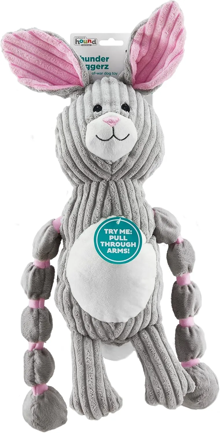 Outward Hound Thunda Tugga Bunny Plush & Squeaky Dog Tug Toy