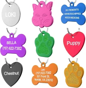 Pet ID Tag Custom for Dog Cat Personalized | Many Shapes and Colors to Choose from | Made in USA | Strong Anodized Aluminum (Circle Silver, Small)