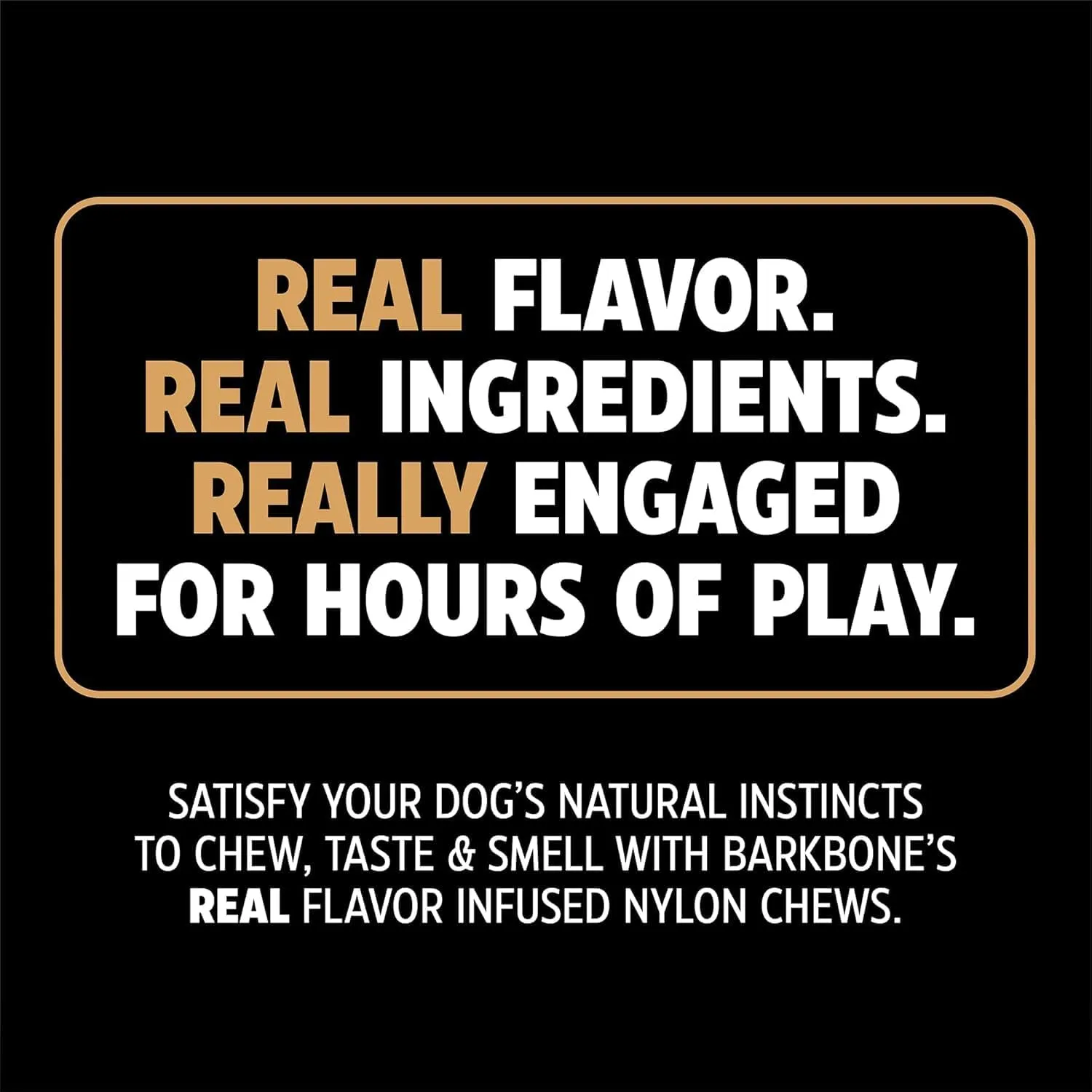 Pet Qwerks Dinosaur BarkBone - Nylon Dog Bone for Tough Chewers -Real Bacon Flavor