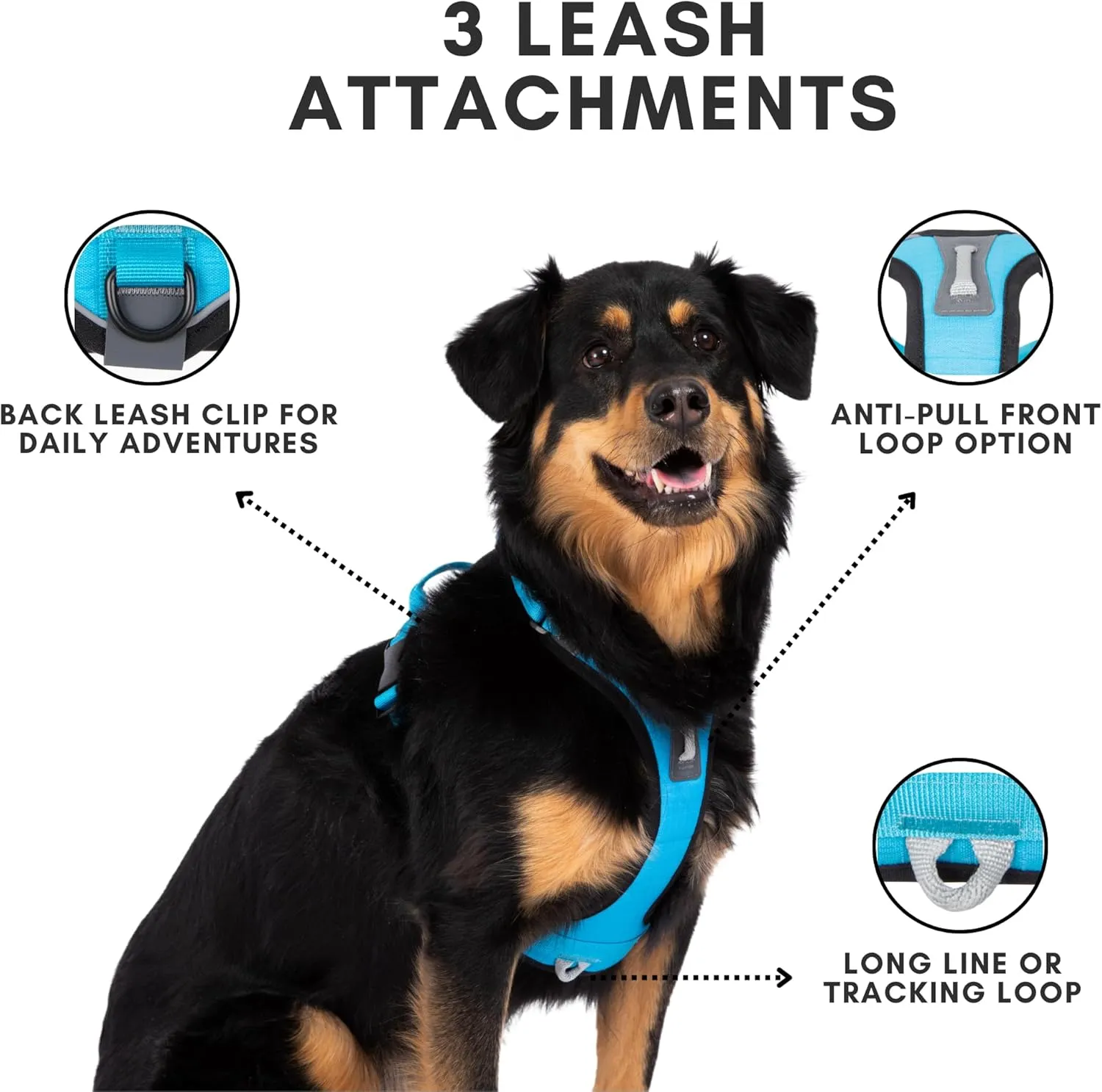 ShawnCo Basecamp Dog Harness, No-Pull Pet Vest with 3 Leash Clips, Padded, Reflective, Lightweight and Adjustable Harness with Handle for Small, Medium and Large Dogs (Sunset Orange, M)