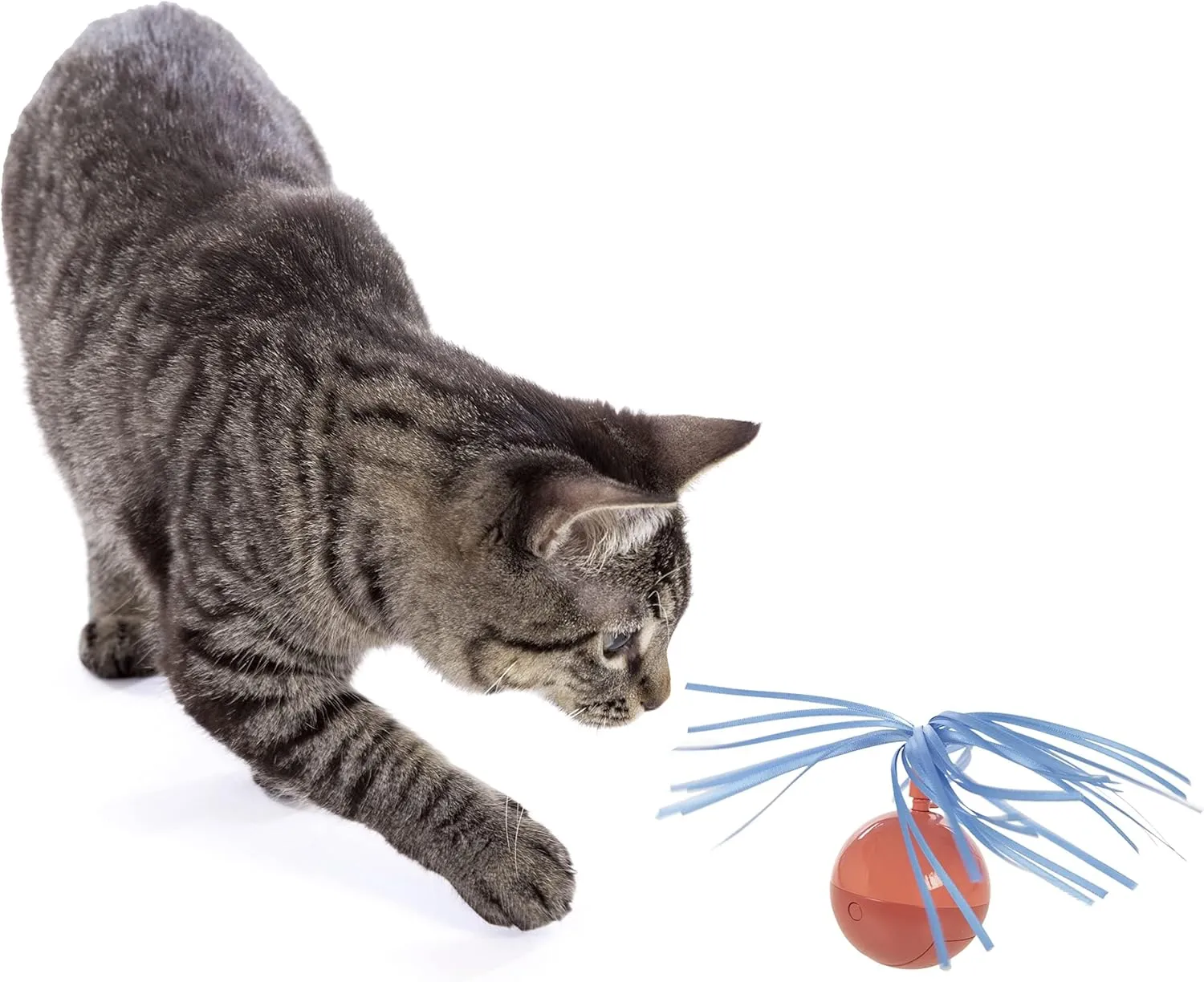 SmartyKat Electronic Motion/Moving Toys for Cats & Kittens, Battery Powered, Mimics Motion of Real Prey, Fun & Interactive Play - Multiple Styles