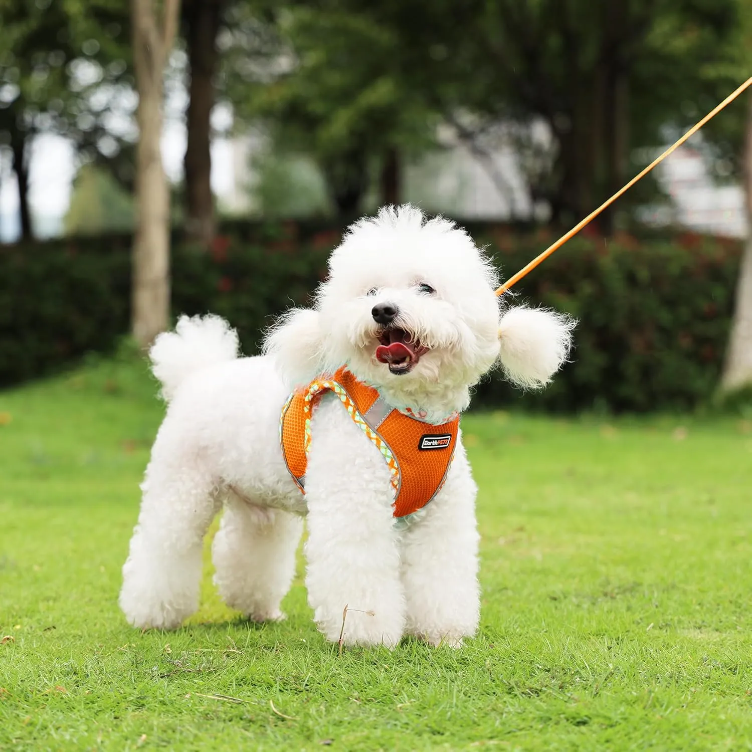 Step-in Checkered Pet Harness with a Free 59 inch Leash Included - Breathable Air Mesh for Dogs & Cats, with Reflective Straps, Safe Vest Built with Buckle & Double Metal Rings, Pink, S