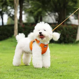 Step-in Checkered Pet Harness with a Free 59 inch Leash Included - Breathable Air Mesh for Dogs & Cats, with Reflective Straps, Safe Vest Built with Buckle & Double Metal Rings, Pink, S