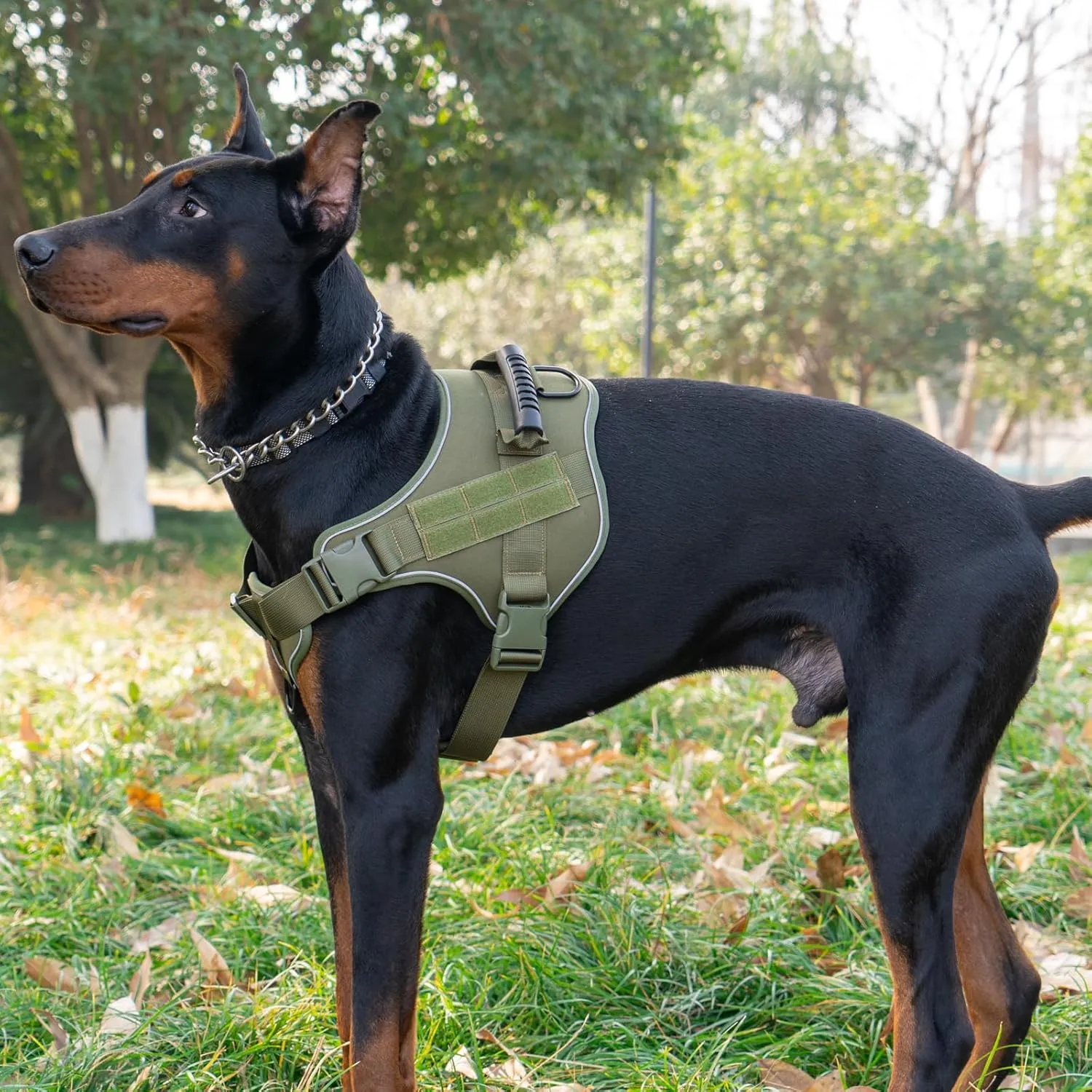 Tactical Dog Harness,No Pull Military Pet Harness for Medium Large Dogs, Adjustable Service Dog Vest Harness with Night Reflective, Easy Control Handle for Walking, Hiking, Training (Green)